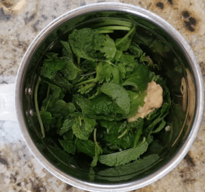 coriander mint sauce ingredients
