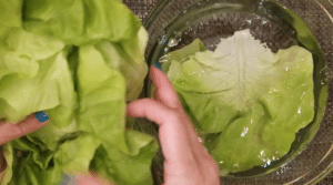 wrap - wash lettuce
